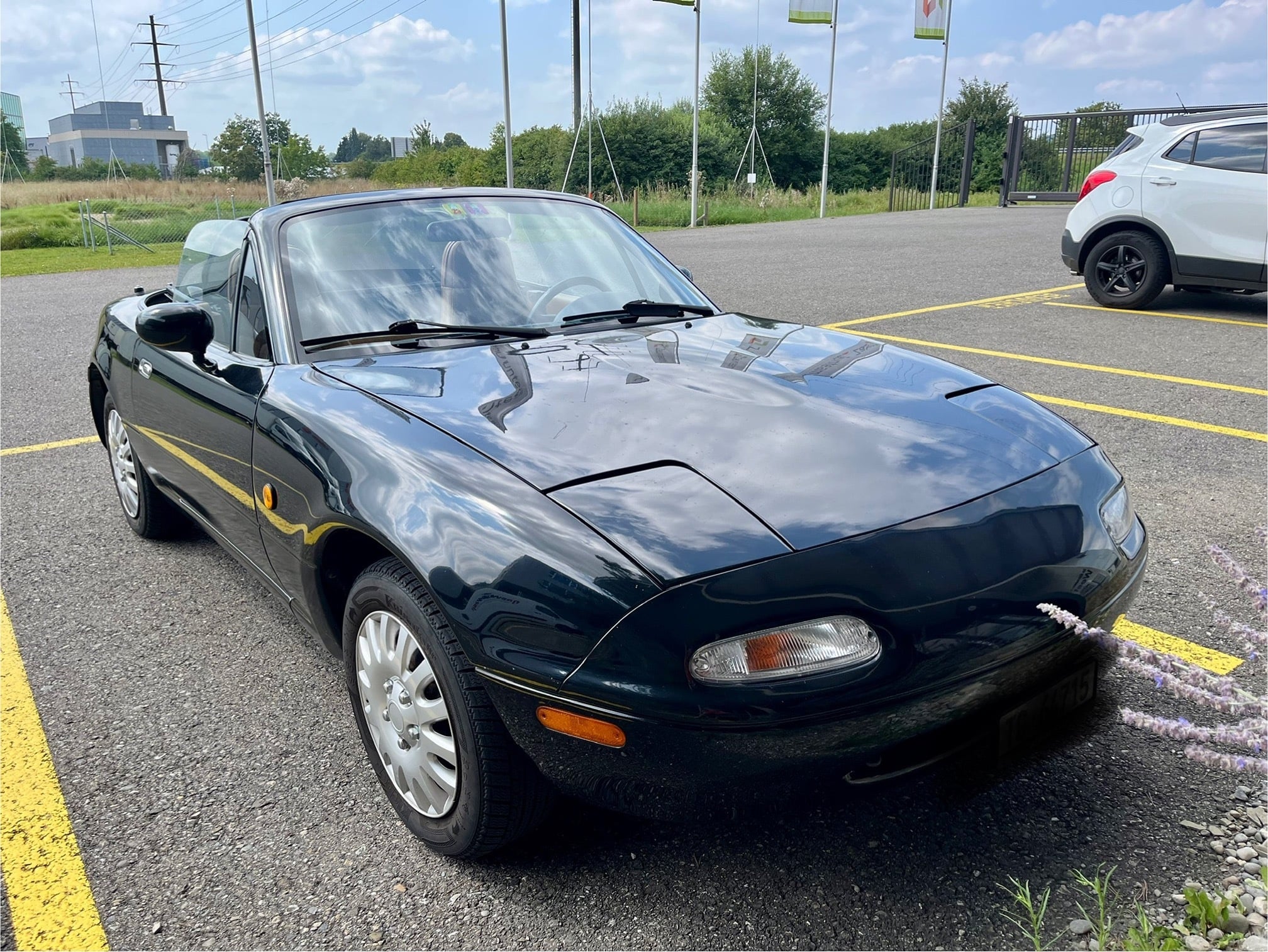 Mazda MX-5 1993