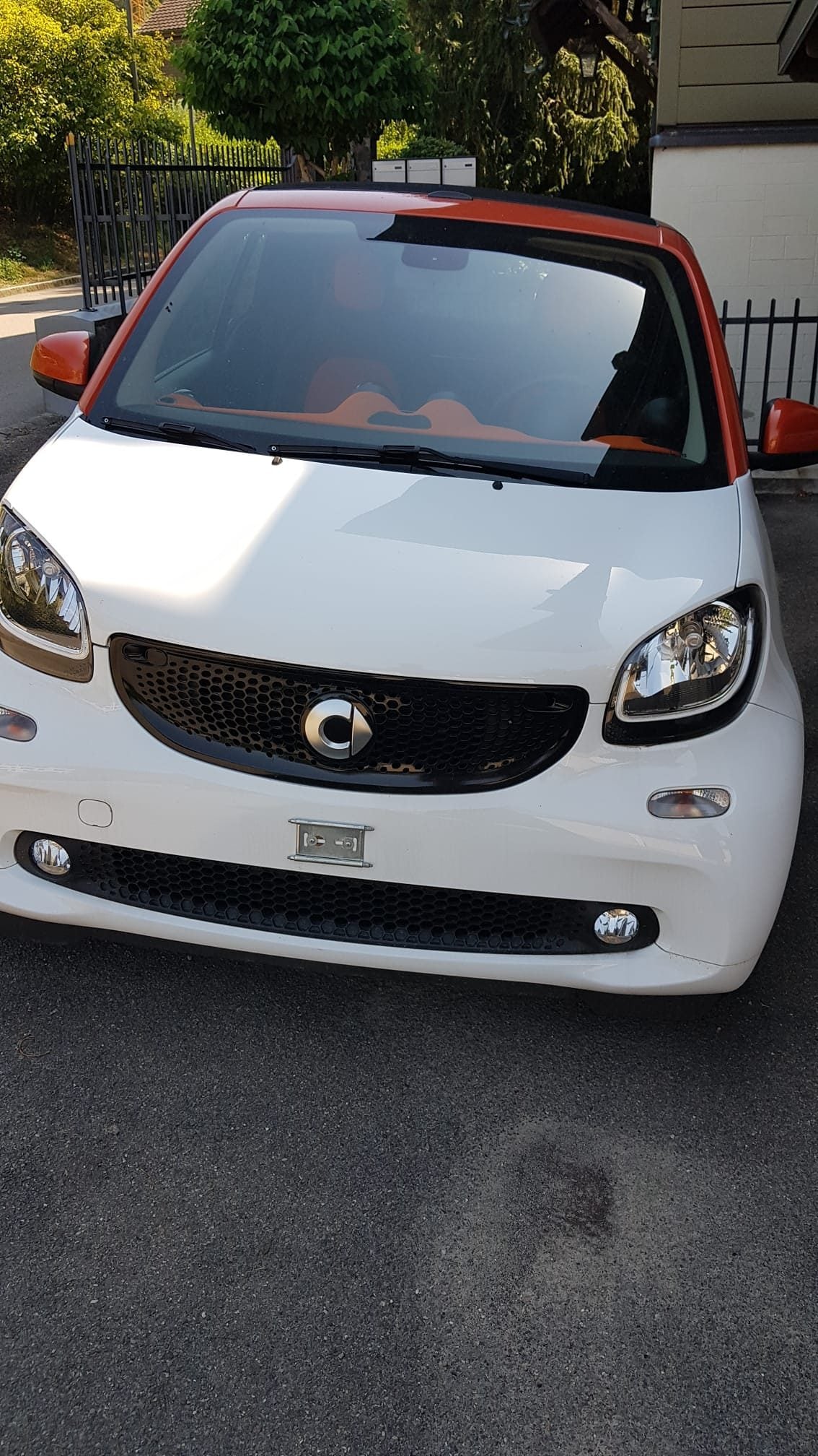SMART fortwo cabrio 2019